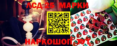спиды Заводоуковск