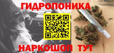 спиды Заводоуковск
